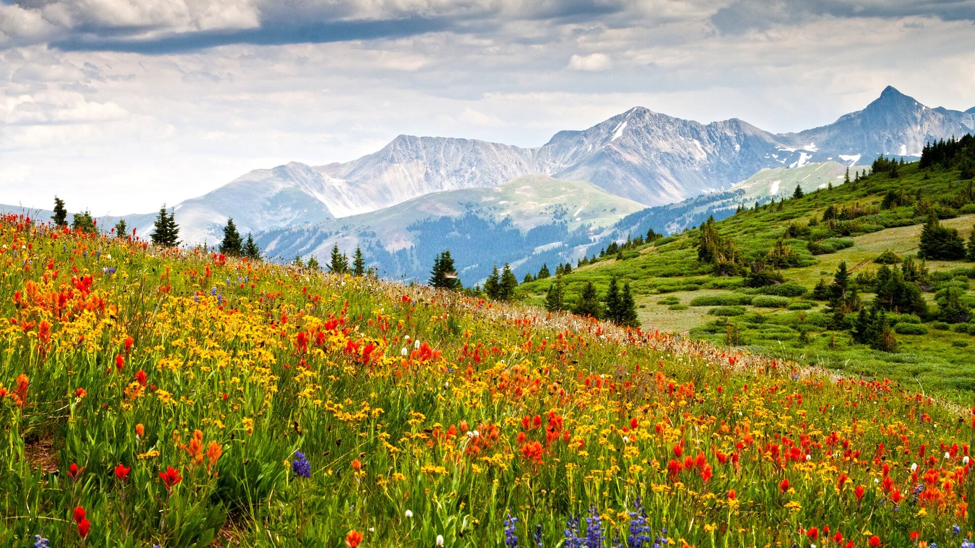 Colorado