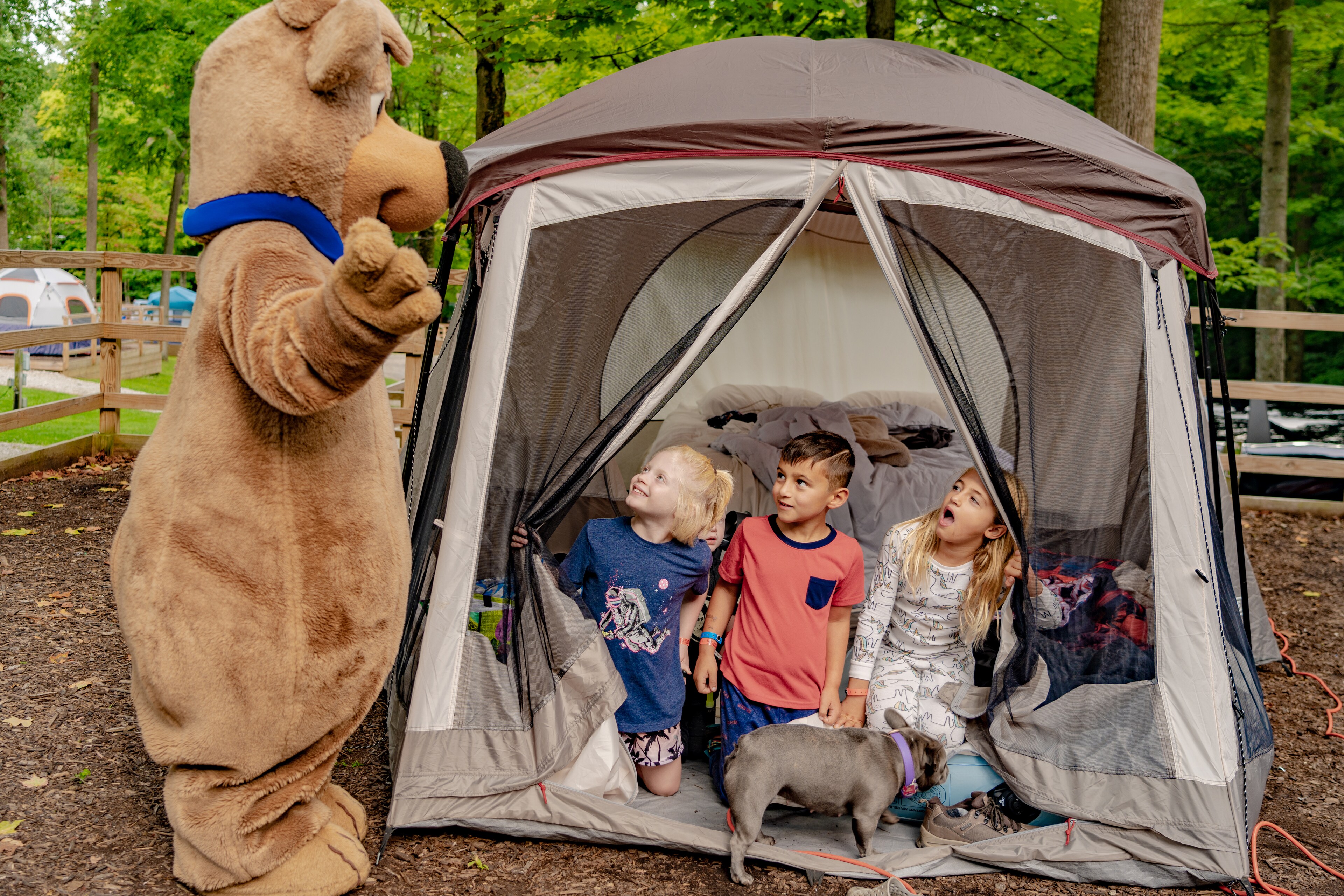 Tent Sites at Jellystone Park™ Niagara Falls