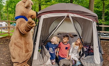 Tent Sites at Jellystone Park™ West Georgia