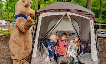Tent Sites at Jellystone Park™ Hocking Hills
