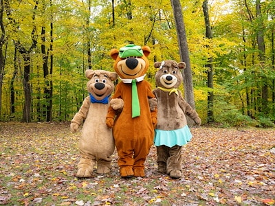 Hang Out with Characters at Jellystone Park™ Western Illinois
