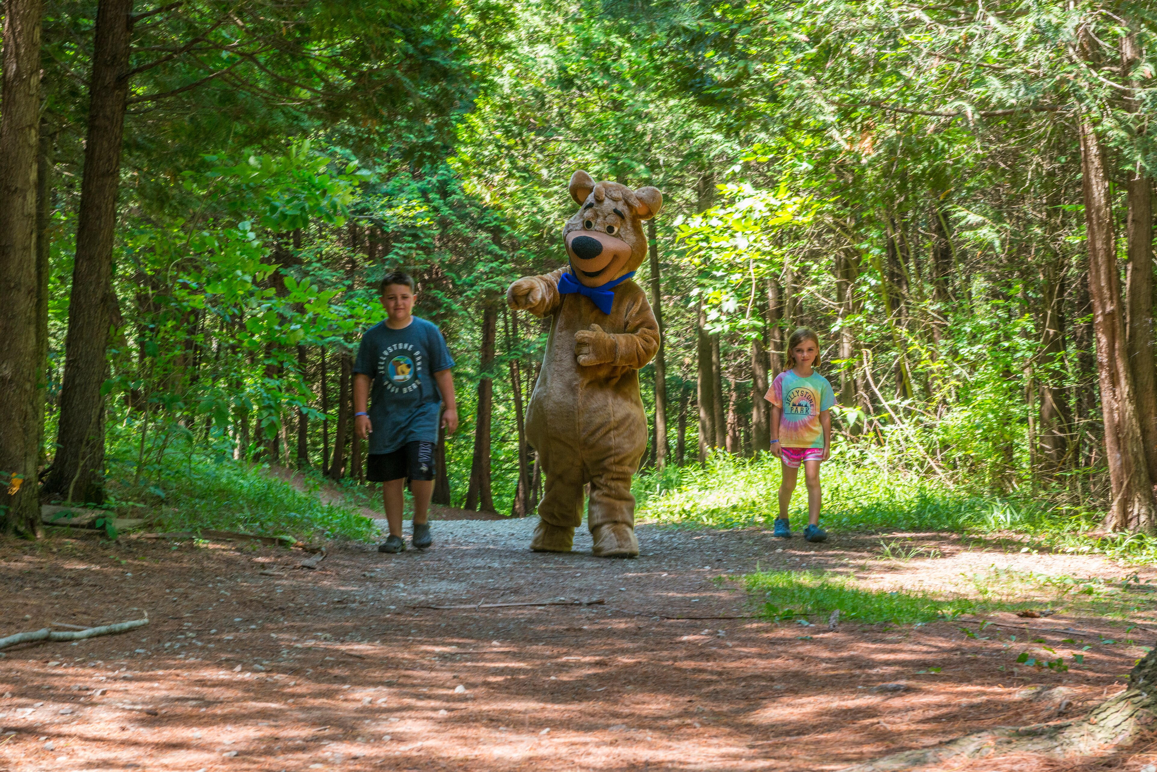 Exploring in the Woods