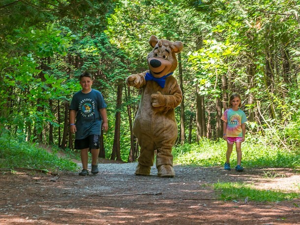 Exploring in the Woods