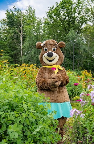 Spring Camping at Jellystone Park™ Frankenmuth