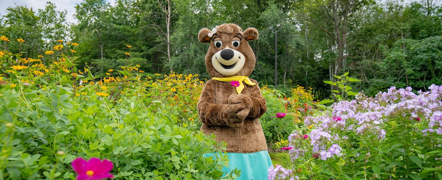 Spring Camping at Jellystone Park™ Frankenmuth