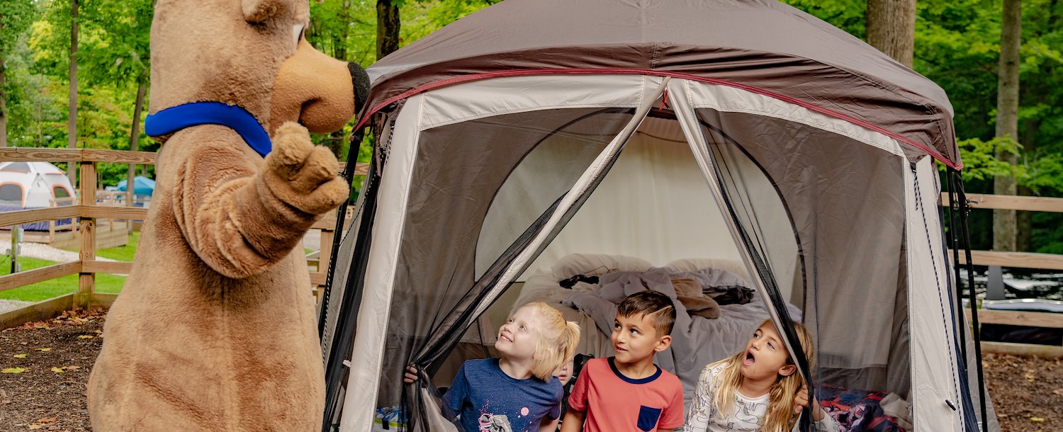 Tent site at Jellystone Park™