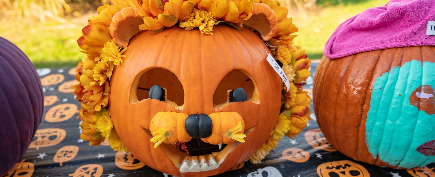 Halloween Fun for Everyone!