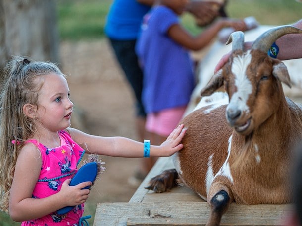 Petting Farm in Jellystone Park™ North Texas