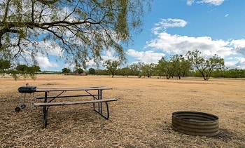 Tent Sites at Jellystone Park™ Wichita Falls