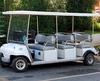 Limo Carts at Jellystone Park™ Clay's Resort