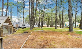 Tent Sites of Jellystone Park™ Chincoteague Island