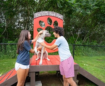 Bark Park at Jellystone Park™ Glen Ellis
