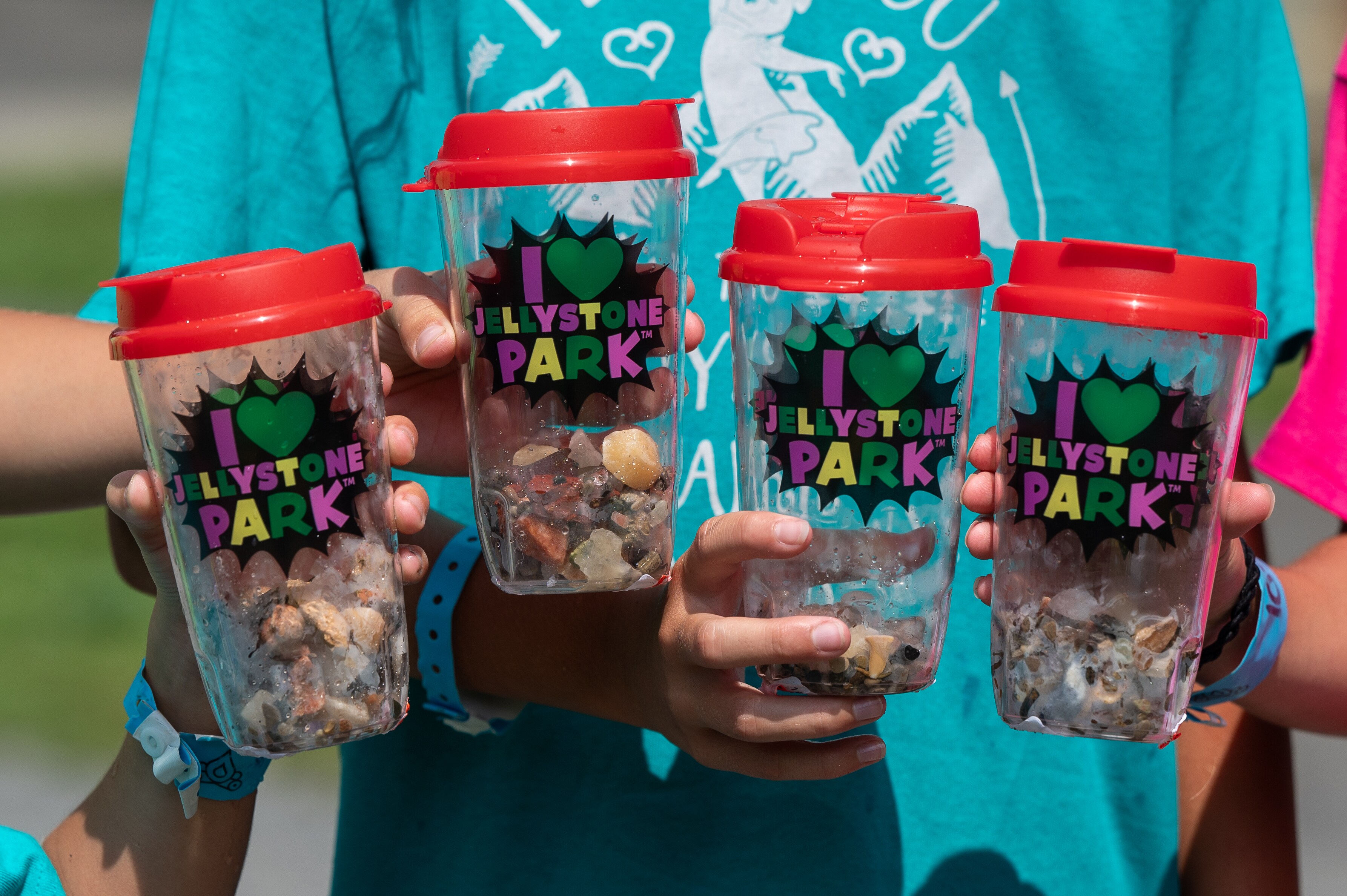 Gem Mining at Camp Jellystone!