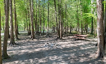 Tent Sites at Jellystone Park™ Door County