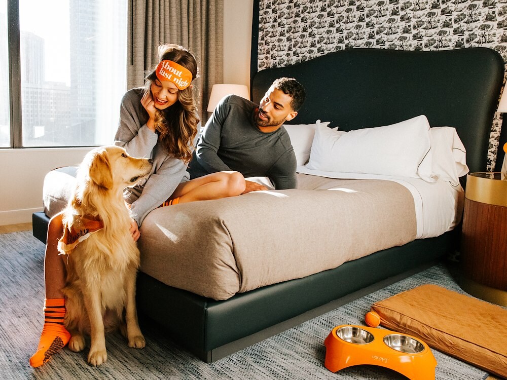 A cozy moment with a dog at Canopy by Hilton Boston Downtown hotel room.