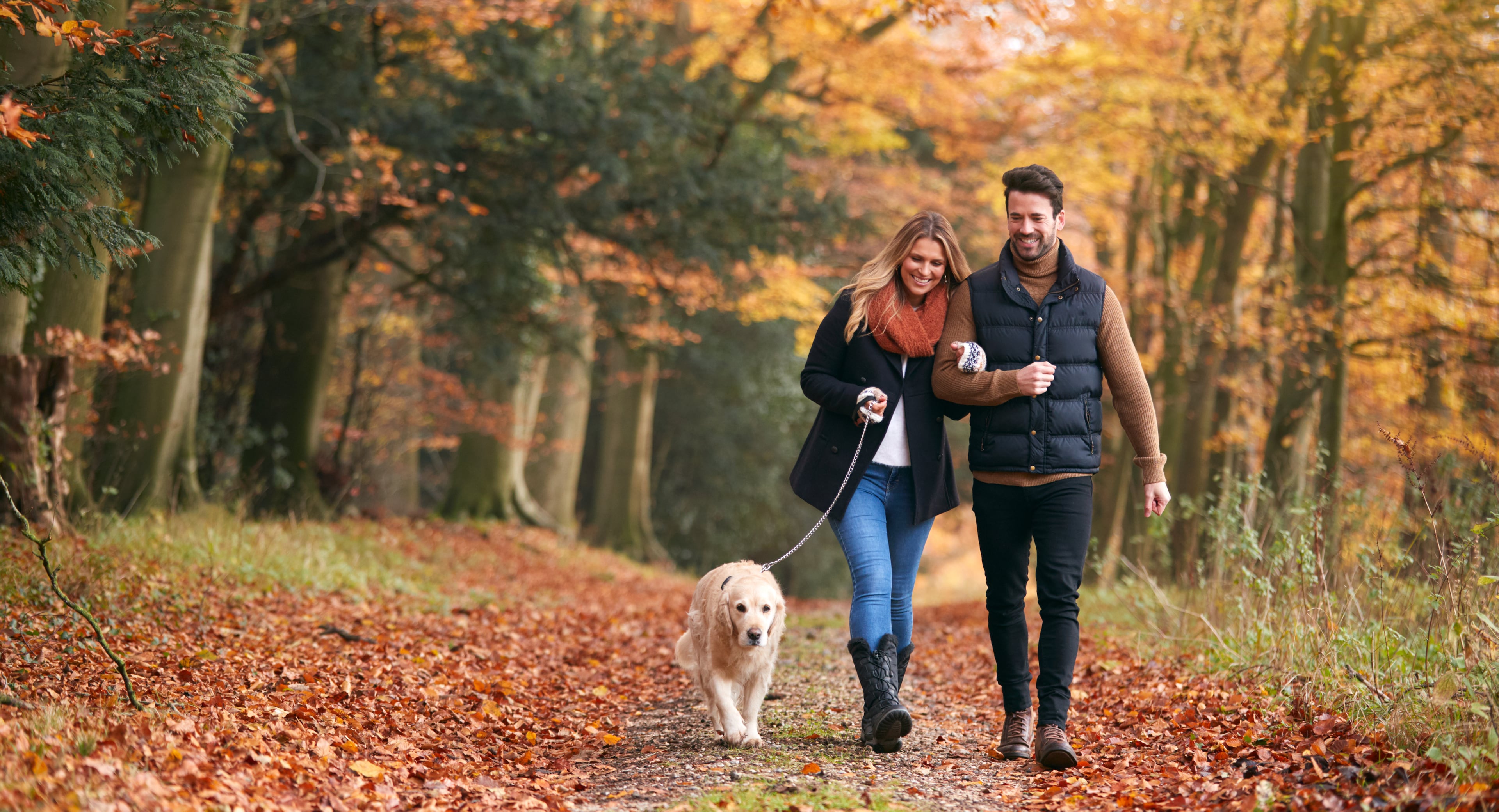 couple walking dog in fall