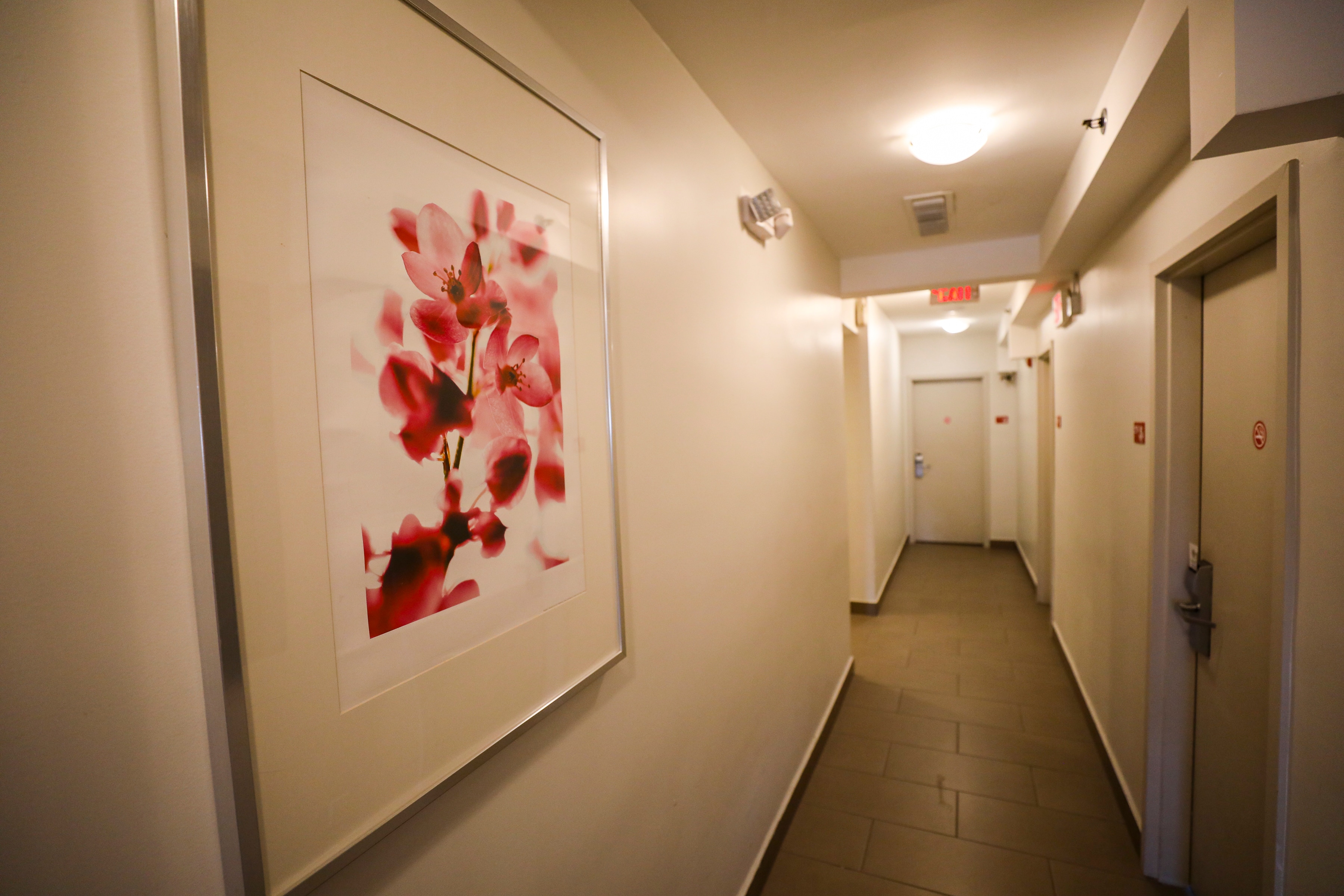 Collins Hotel — photo 10 of 37