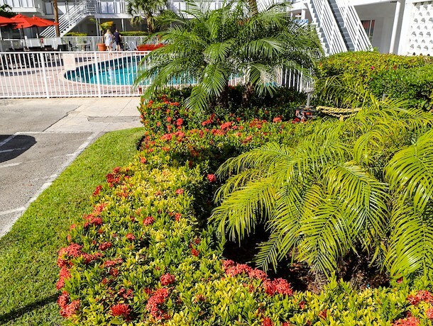 Miami Hotel Reservations | Collins Hotel Miami