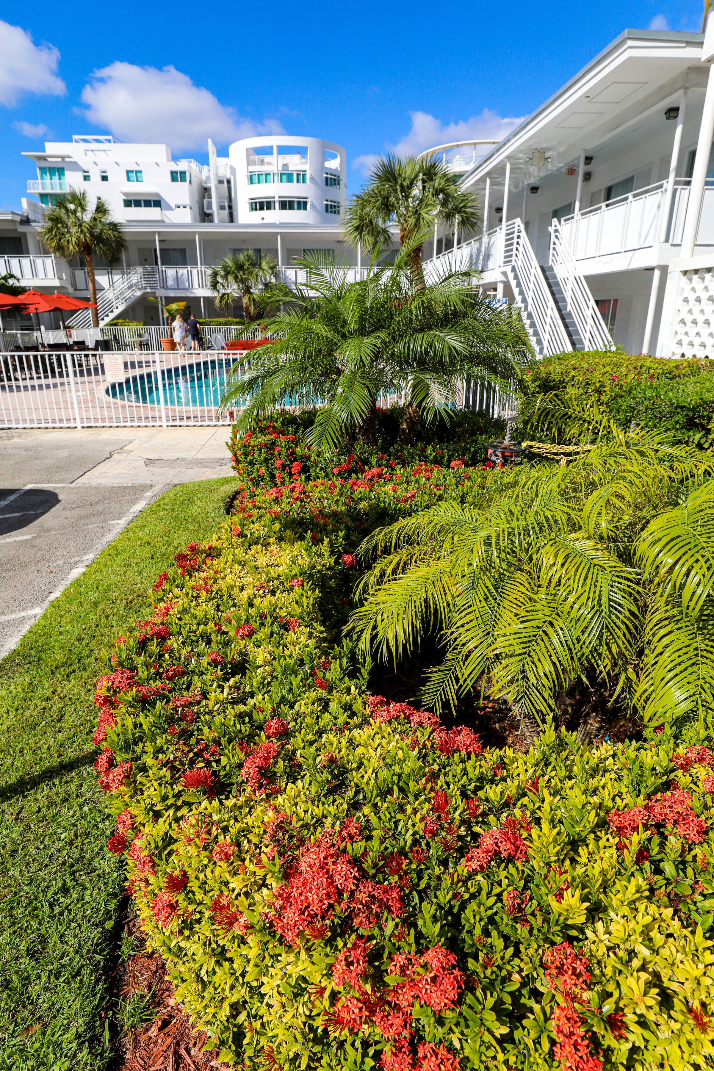 A well-manicured garden with flowers and palm trees in front of a pool.