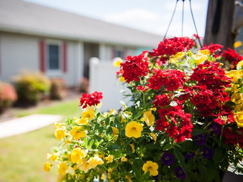 Flowers at Commonwealth Senior Living