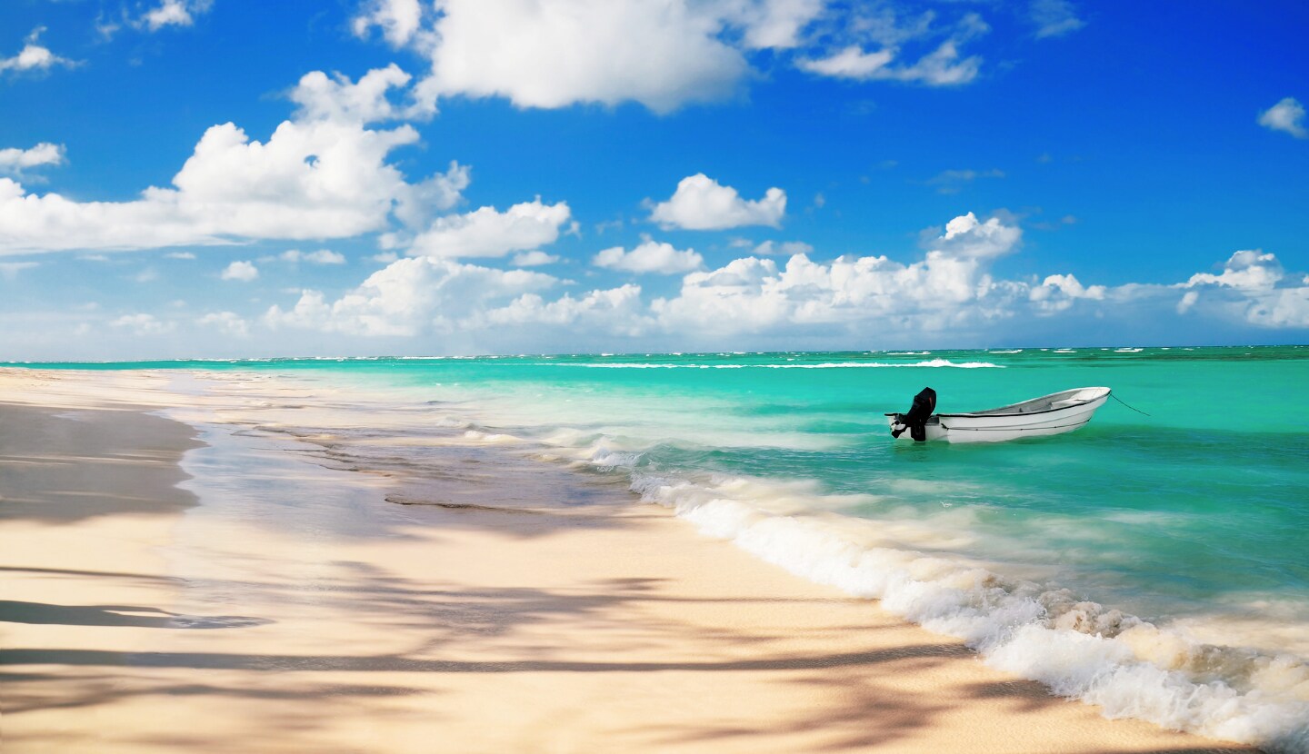Connect DMC, Punta Cana