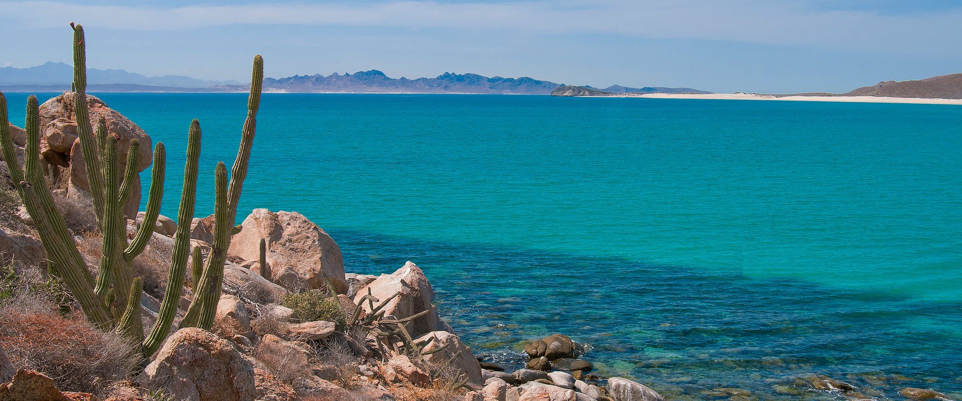 Connect Travel Services