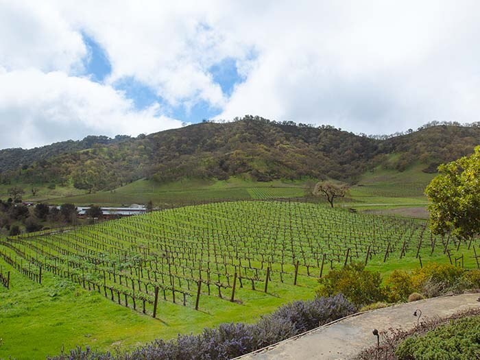 Santa Cruz Mountain Wineries near by CordeValle USA