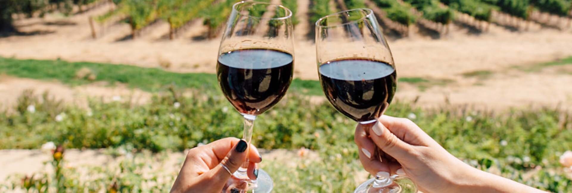 Enjoy wines at CordeValle, One CordeValle Club Dr., CA 95046, USA