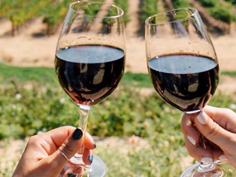 A couple of hands holding wine glasses