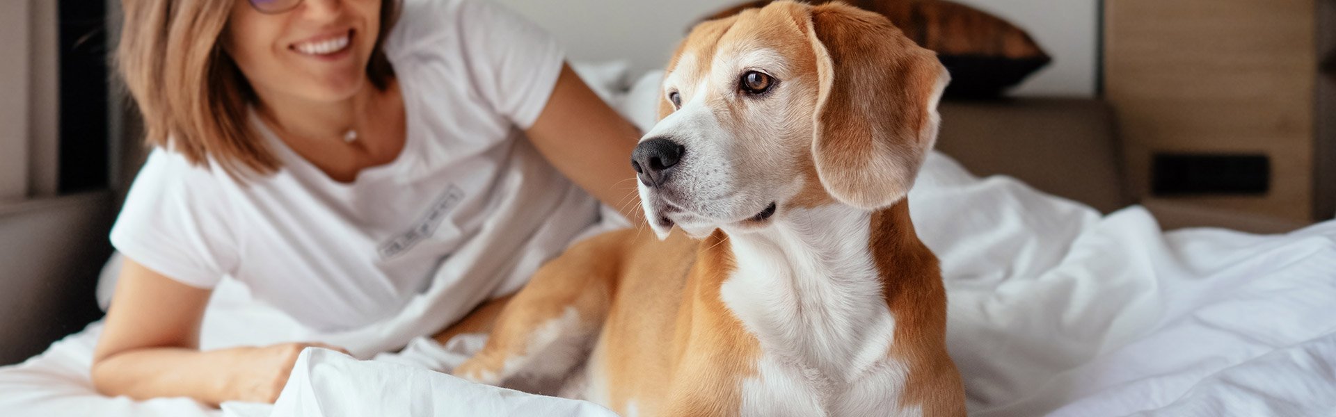 Pet Friendly Craddock Terry Hotel Lynchburg-VA