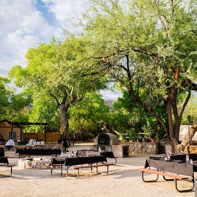 An outdoor dining area with picnic tables, a pizza oven, and trees in the background.