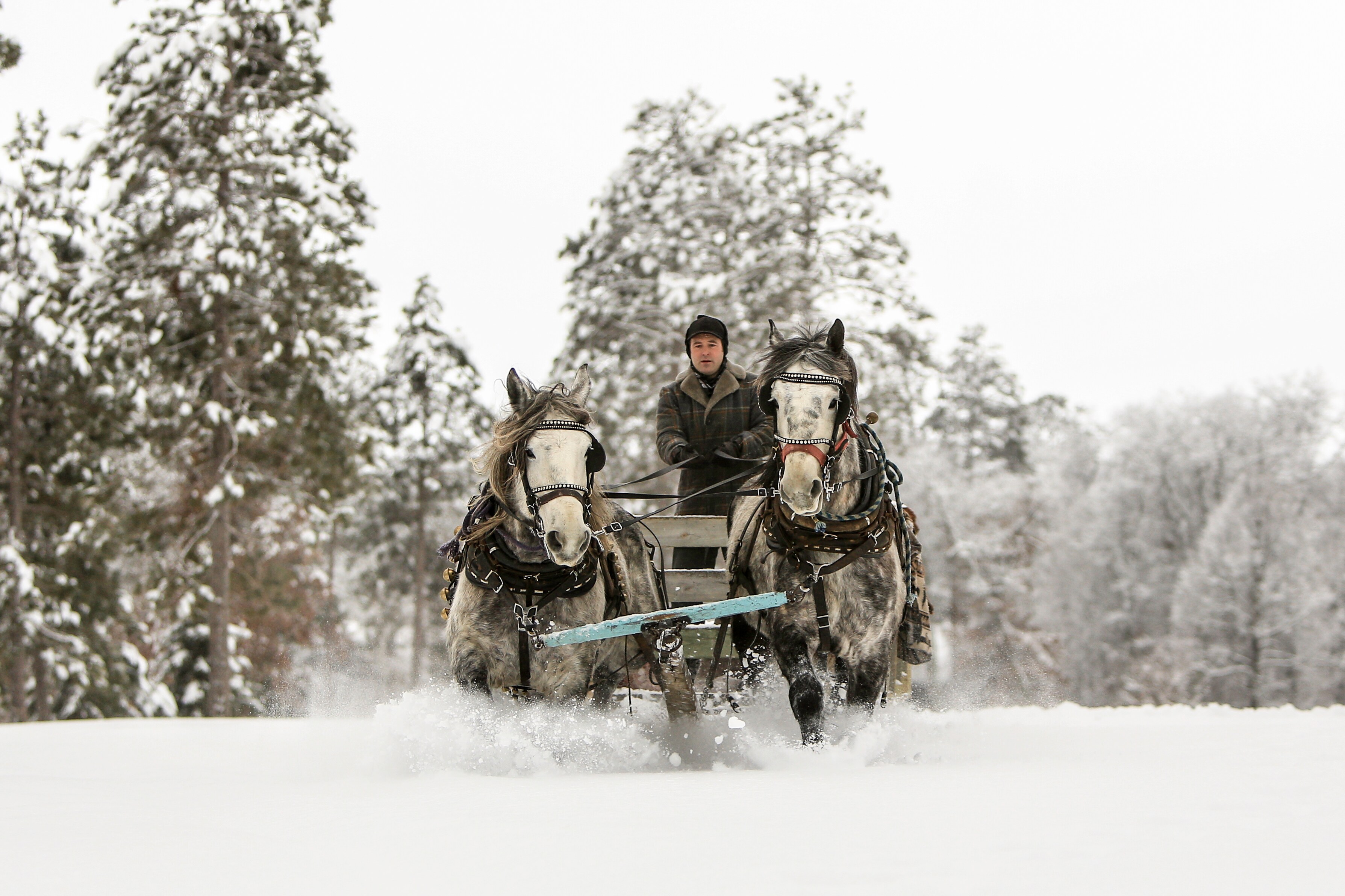 Escape to Winter Wonderland