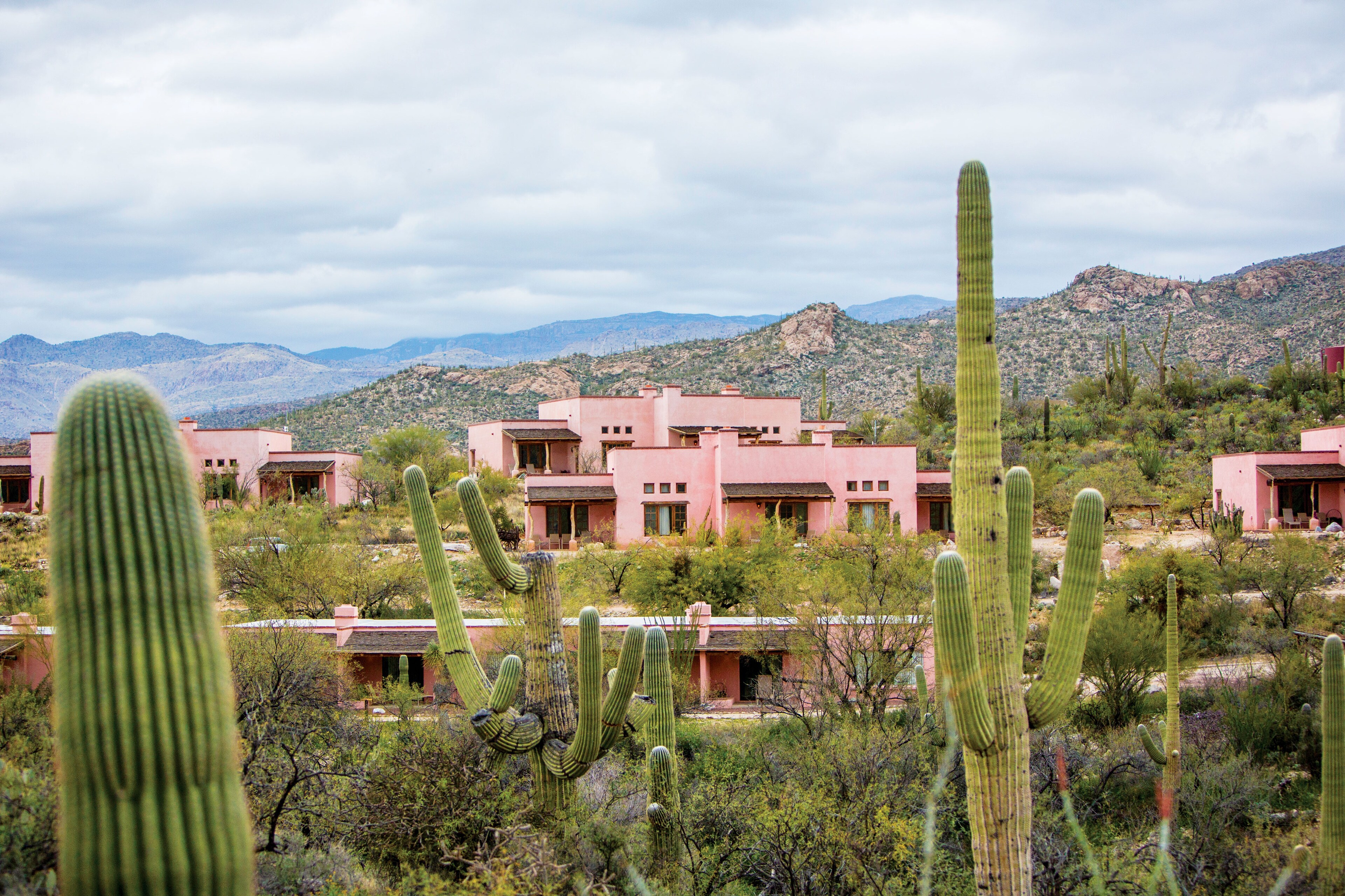 Stay at Tanque Verde Ranch, Tucson, Arizona