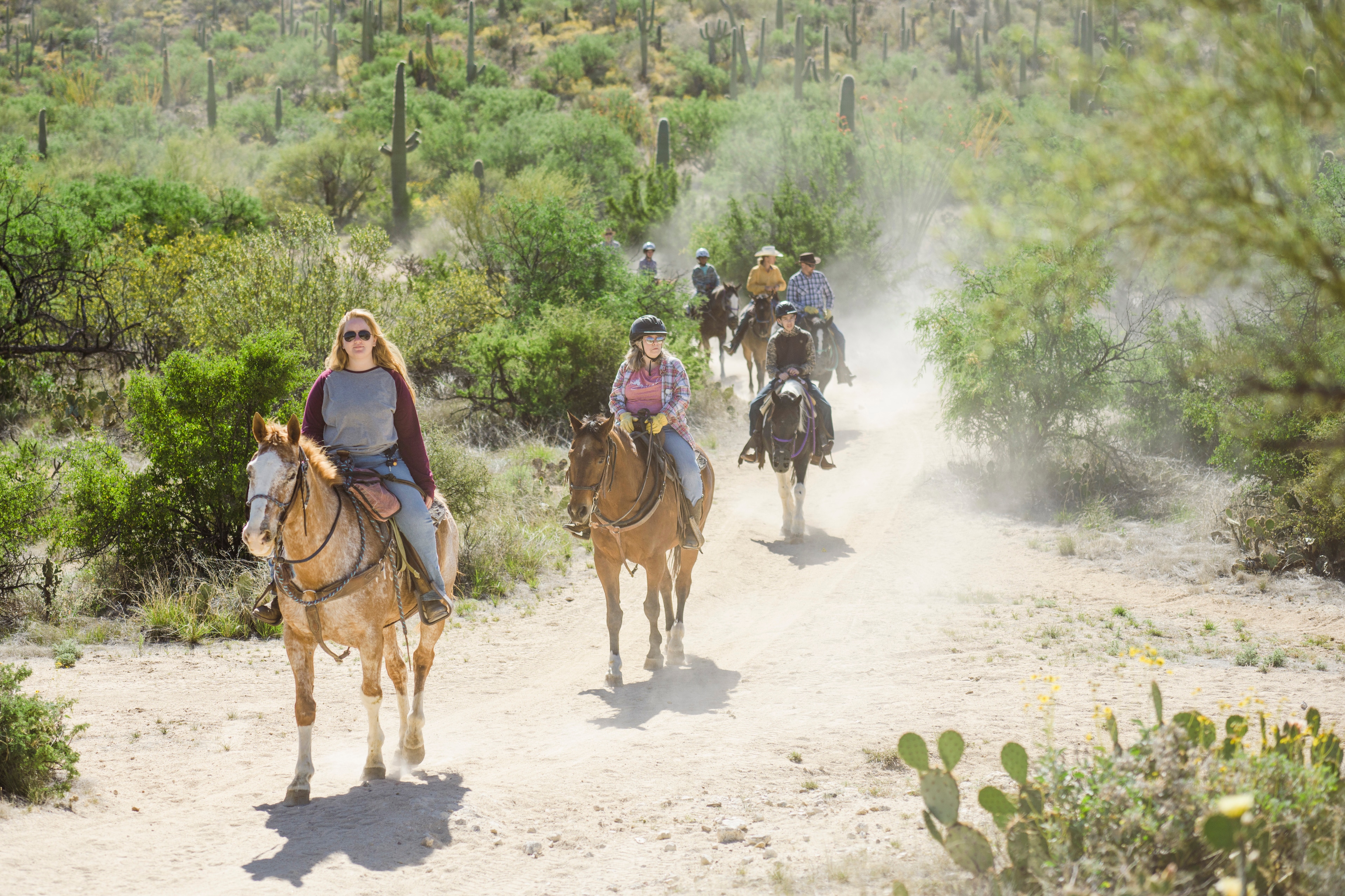 Tanque Verde Ranch — gallery preview 3