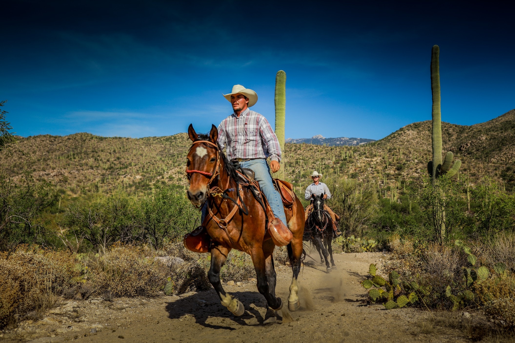 Tanque Verde Ranch — photo 25 of 60