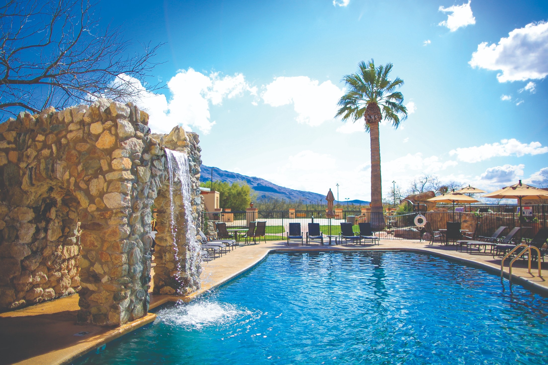 A resort-style pool with a waterfall, lounge chairs, and a palm tree in a desert setting.