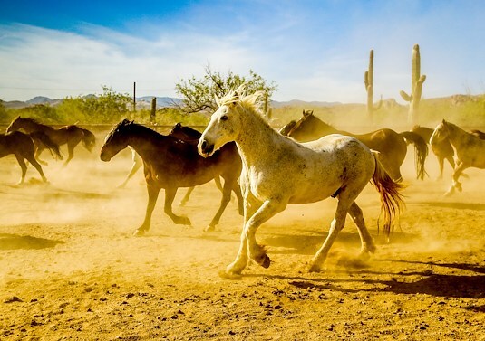 Conde Nast Travelers Readers' Choice Awards
