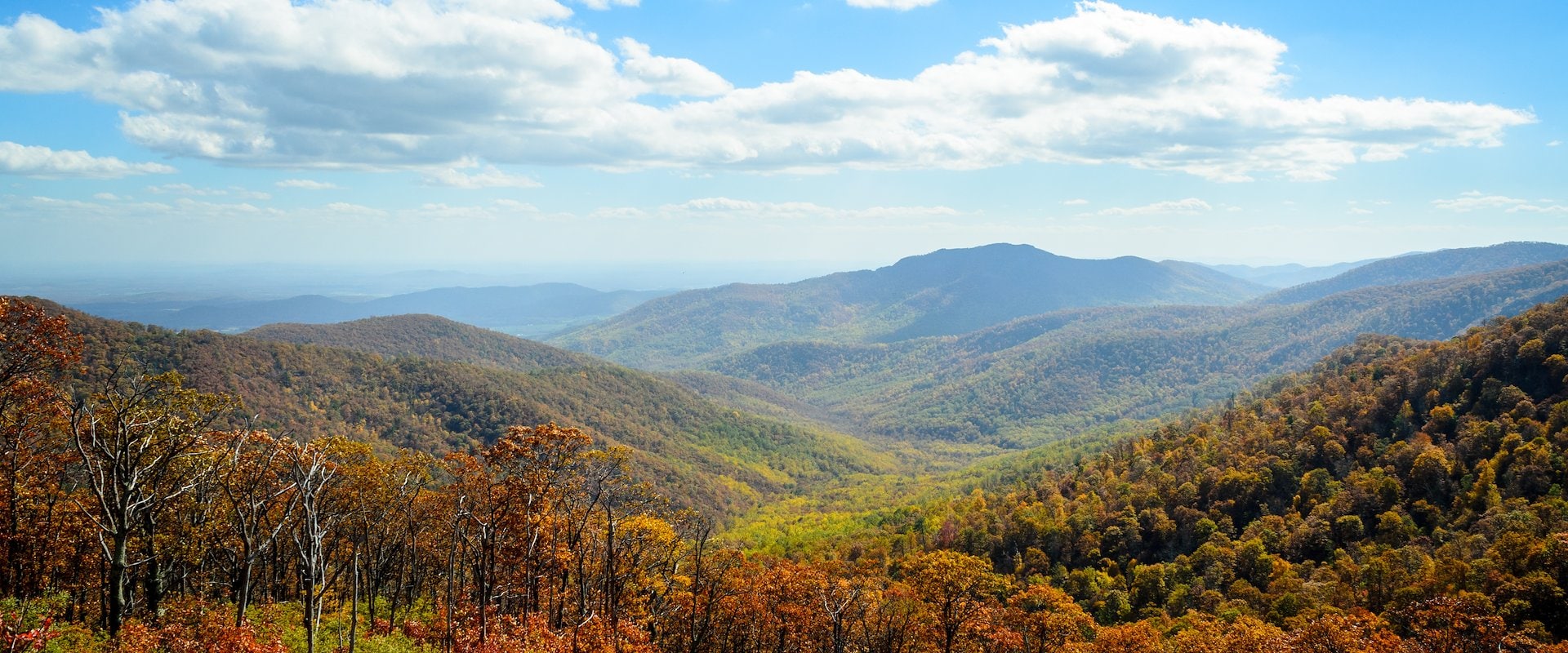 The fall foliage of Shenandoah Valley in early fall - perfect for leaf peeping in virginia