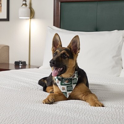 weekend getaway in Athens at Hotel of Ohio University