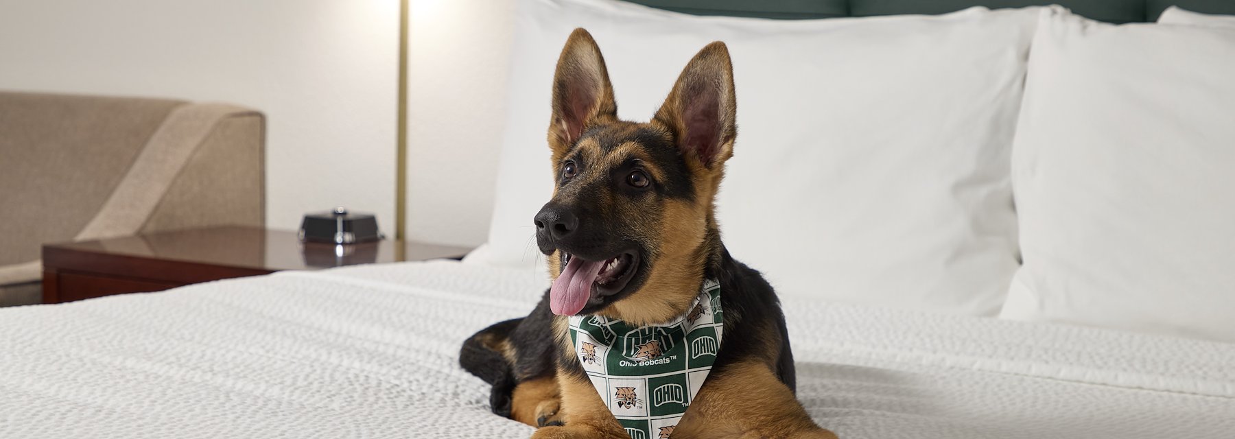 Pet Friendly at Ohio University Inn and Conference Center Athens, OH