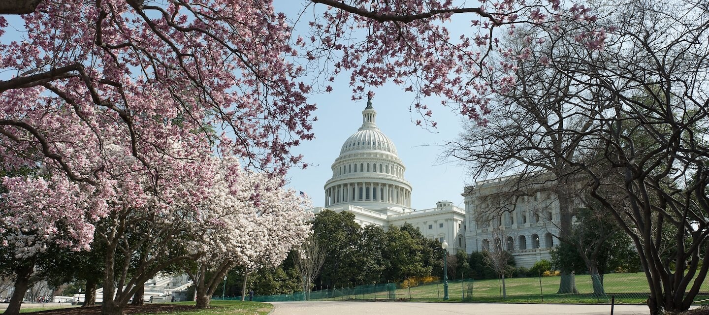 Visitors exploring top attractions near Capitol Hill, such as the Lincoln Memorial and Washington Monument