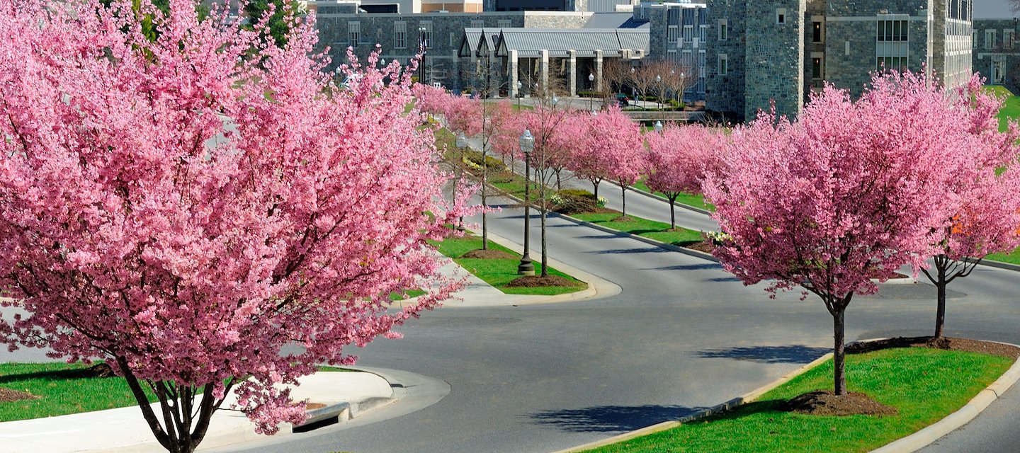 Professional meeting space with expert staff at The Inn at Virginia Tech