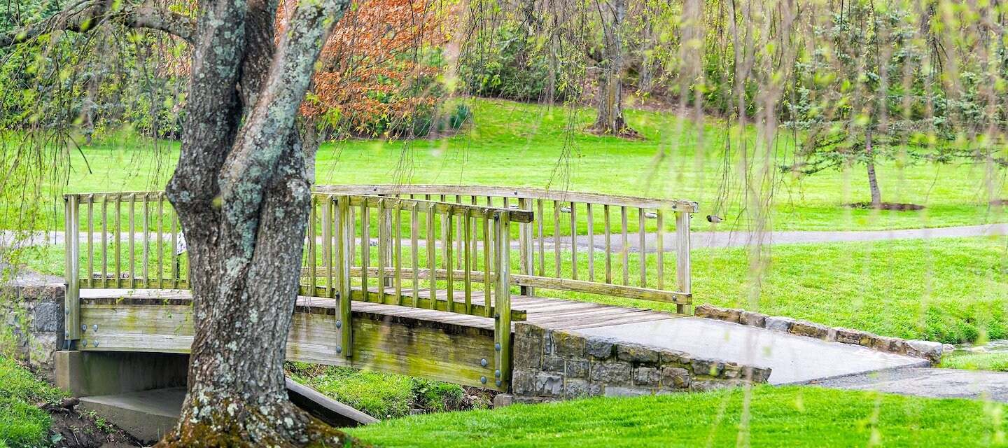 Tranquil garden bridge with stone supports and surrounding greenery
