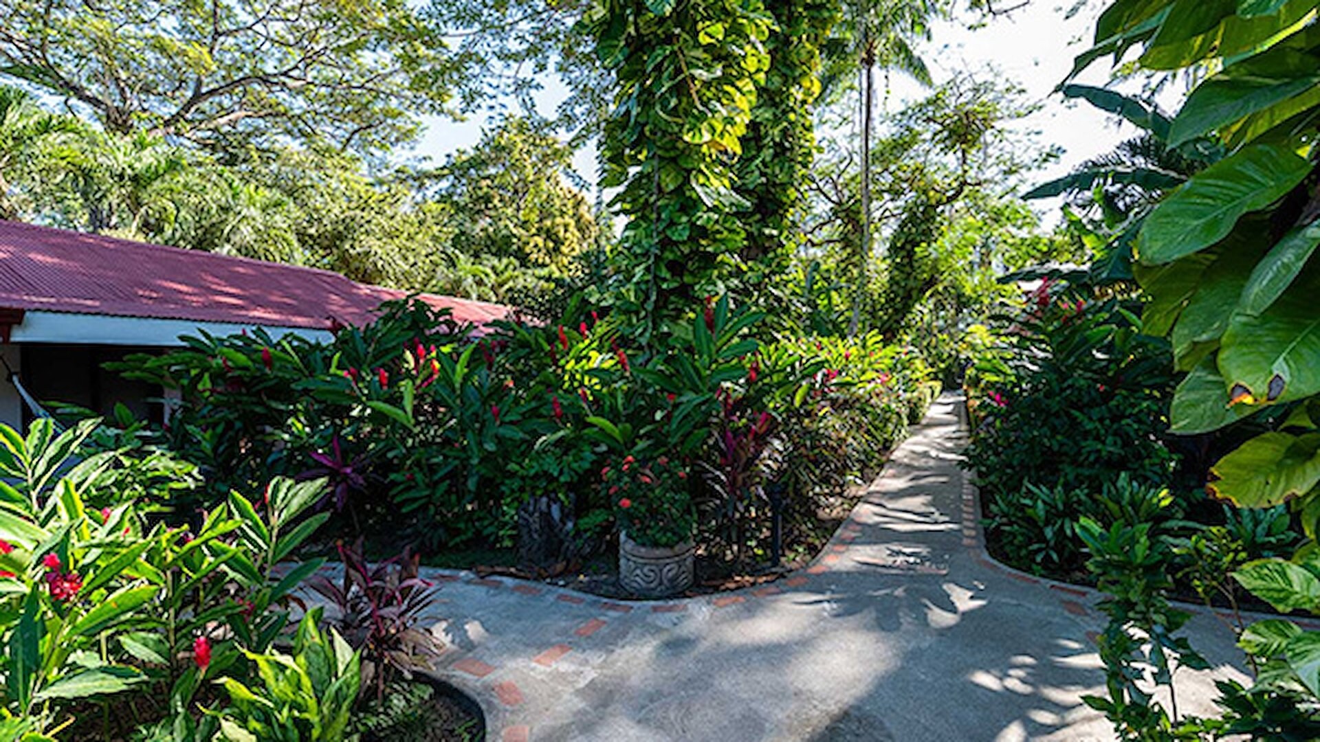 bahia del sol beach resort