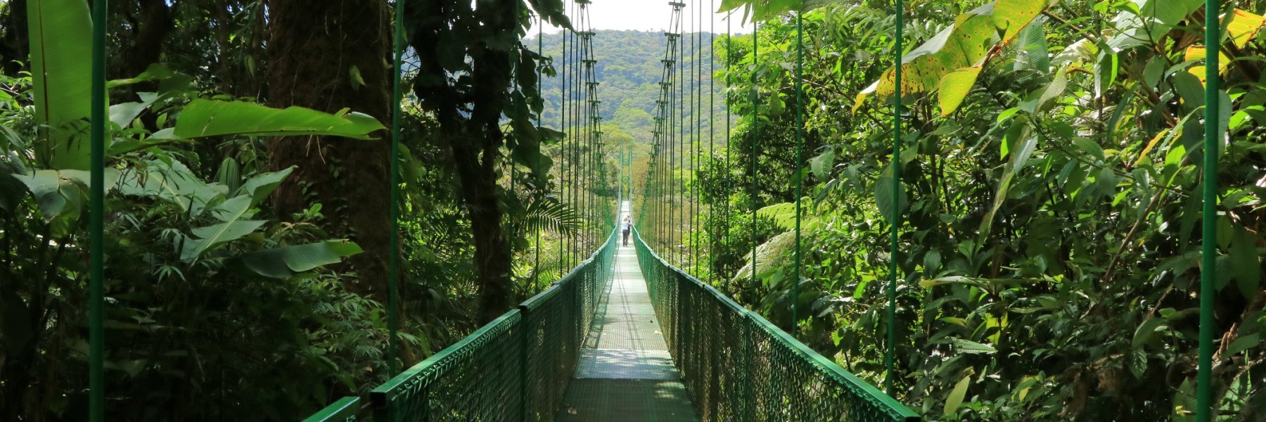 Monteverde At Selvatura Hanging Bridges, Playa Flamingo, Costa Rica