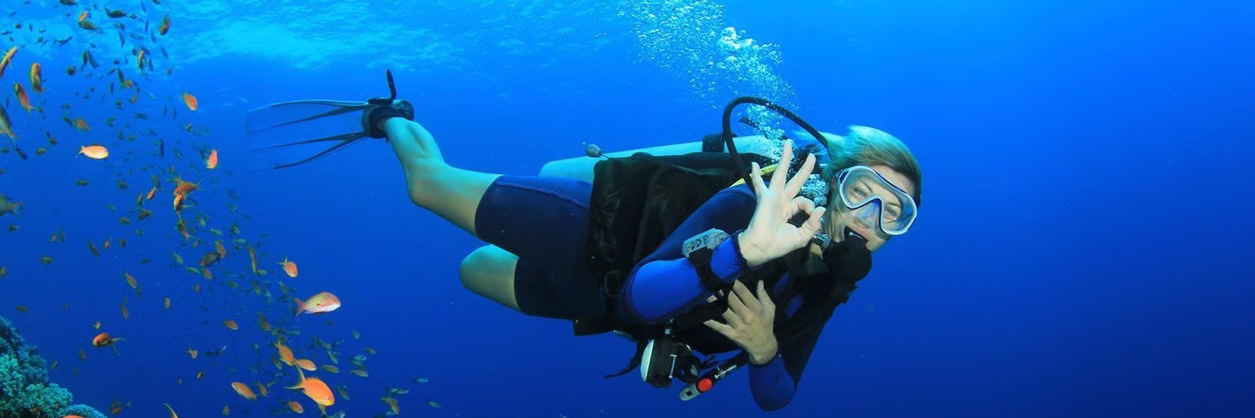 Scuba Diving in Margaritaville Beach Resort Santa Cruz, Guanacaste