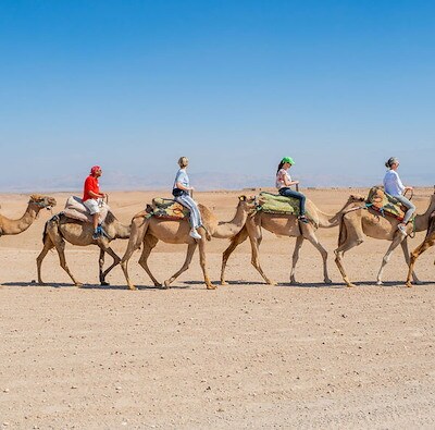 Camel riding in Marrakesh, Morocco EMC Meeting & Events, Sea Girt, New Jersey