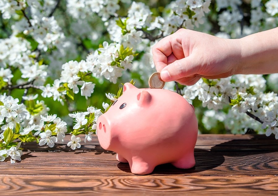 Spring Financial Checkup to Improve Financial Wellness