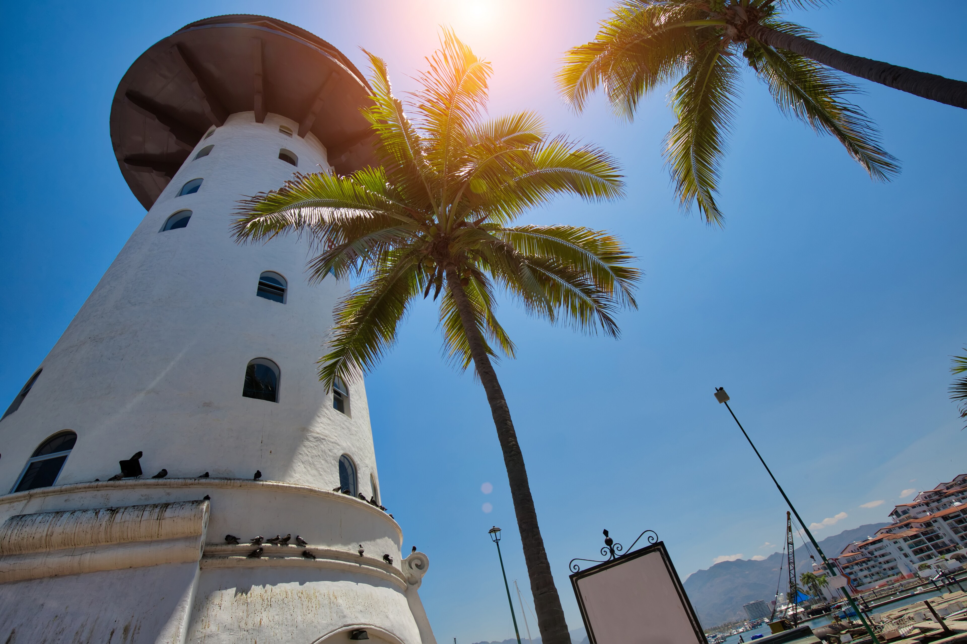 A white lighthouse with palm trees in front of it
