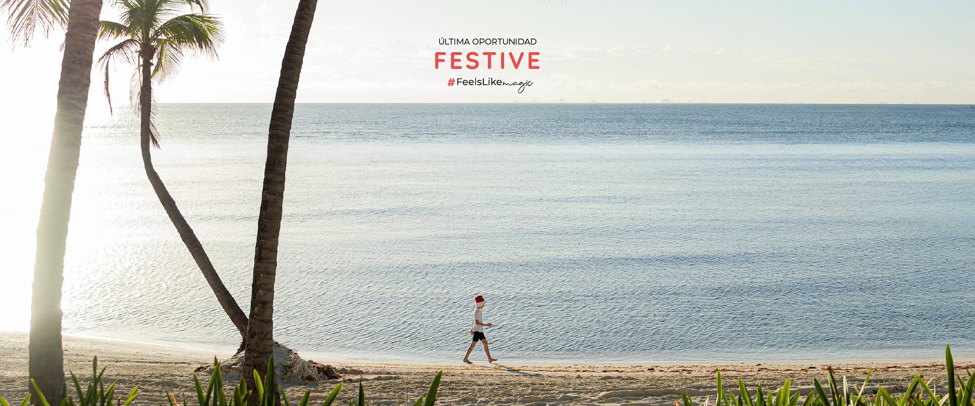 Preventa Festive